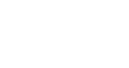 Universidad Mayor