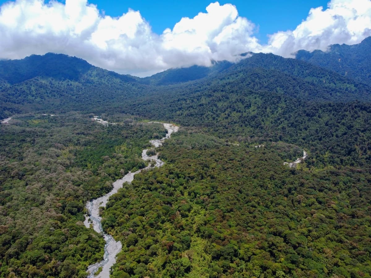 Vista aérea del bosque nublado y del río que atraviesan la Hemisferios Biodiversity Reserve