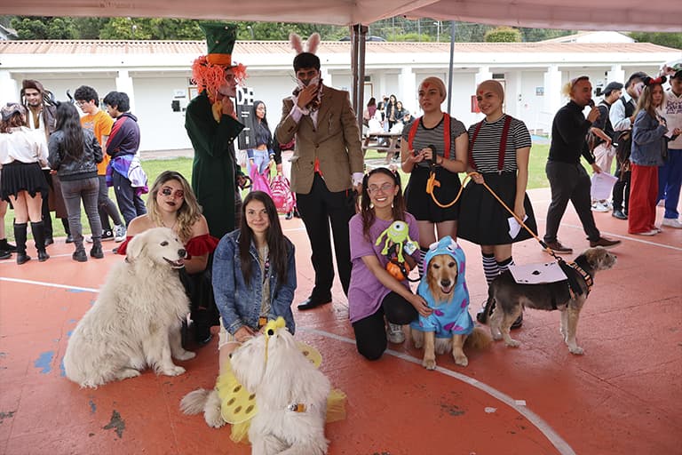UHE Halloween - PET Day