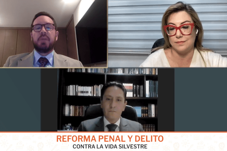 Conversatorio: Reforma Penal y Delito contra la Vida Silvestre