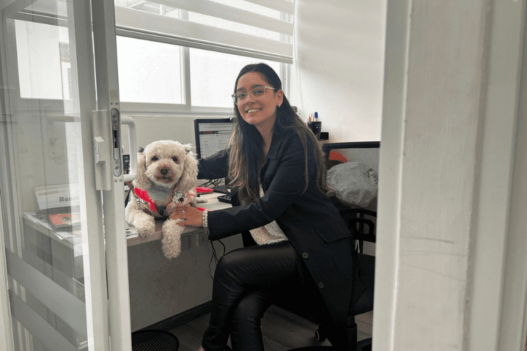 Pets at Work UHE