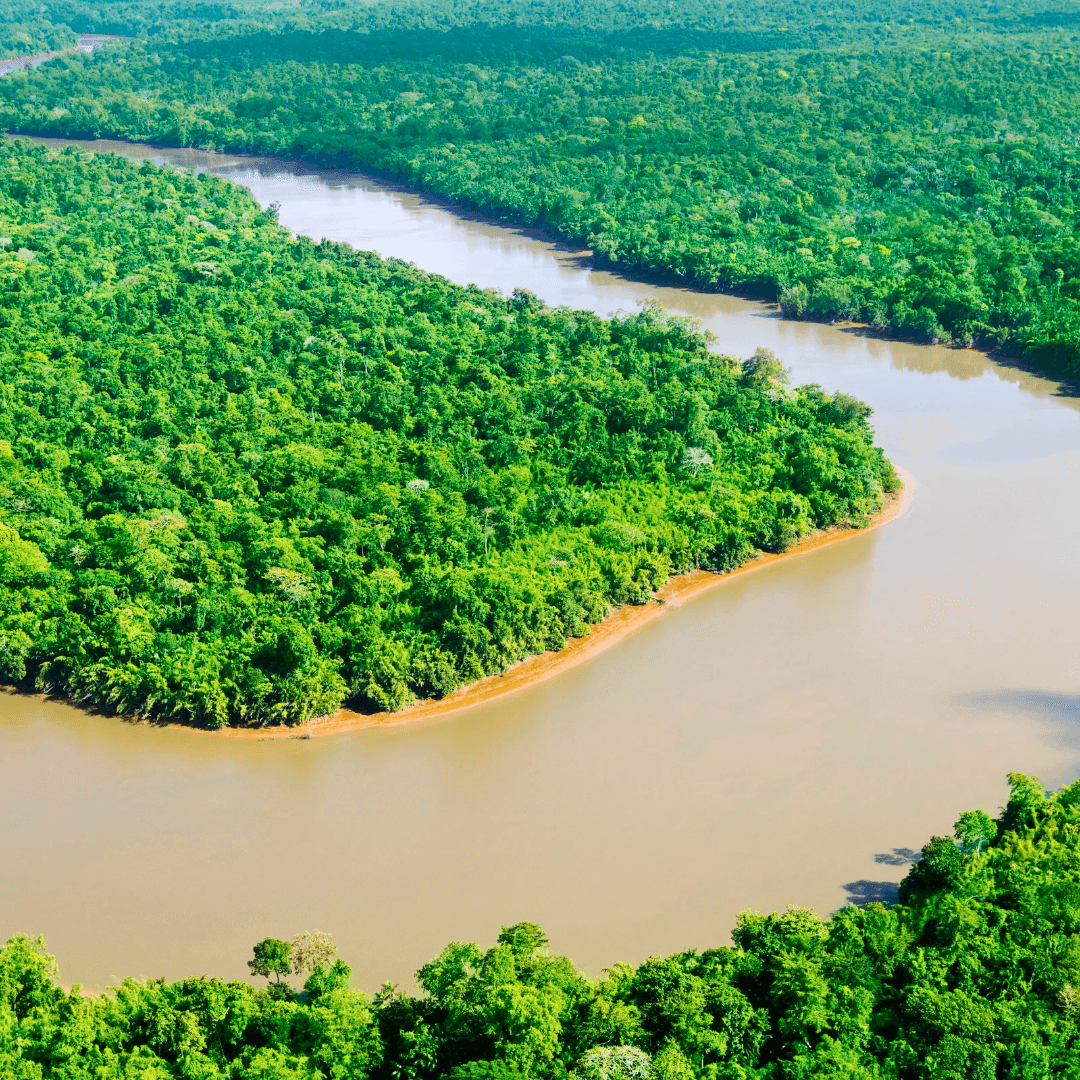 Investigador de la Universidad Hemisferios publica en revista científica de alto impacto sobre biodiversidad fluvial en Ecuador