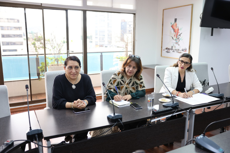Iniciativa interdisciplinaria Universidad Hemisferios La Universidad Hemisferios Lidera Iniciativa Interuniversitaria Para Fortalecer La Salud Mental En La Educación Superior