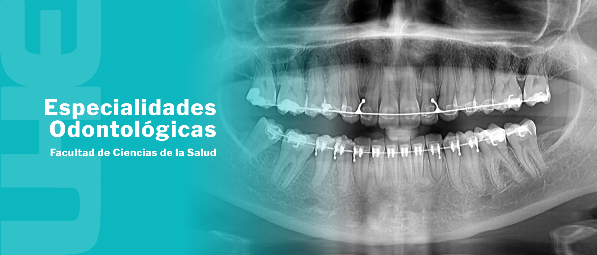 Especialidades odontológicas