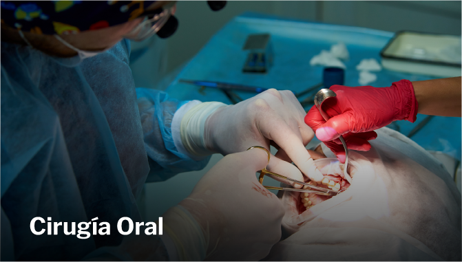 Cirugía Oral Especialidades Odontológicas   Universidad Hemisferios Cirugía Oral   Universidad Hemisferios