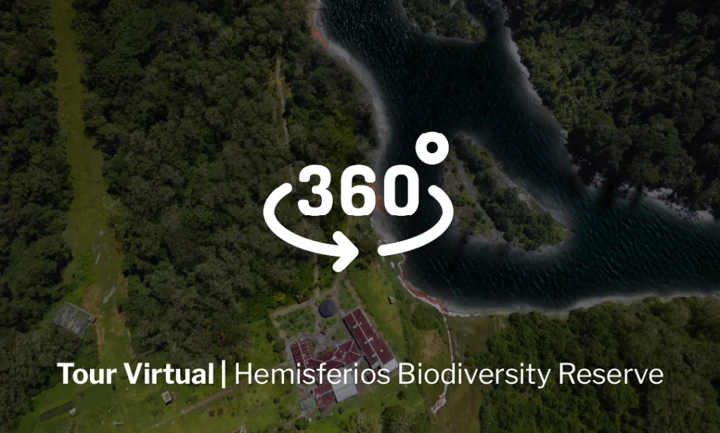 Universidad Hemisferios Uhe | Carreras Presenciales Y Online | Quito Reserva   Universidad Hemisferios