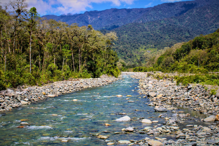 Río Cosanga Universidad Hemisferios Investigadora Española Estudia El Río De La Reserva Hemisferios