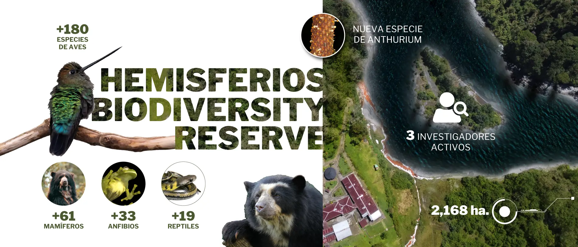 Hemisferios Biodiversity Reserve Universidad Hemisferios Hemisferios Biodiversity Reserve Hemisferios Biodiversity Reserve Universidad Hemisferios Hemisferios Biodiversity Reserve Universidad Hemisferios