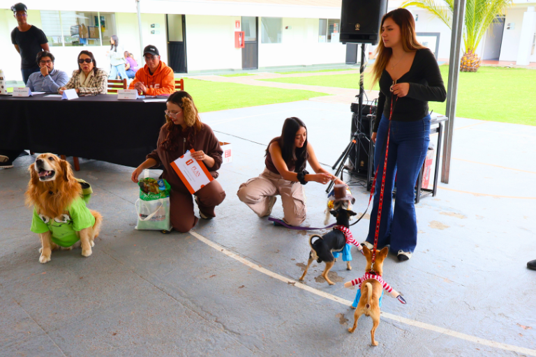 5 Universidad Hemisferios Halloween Pets Reunió a Estudiantes Docentes Y Mascotas En La Uhe