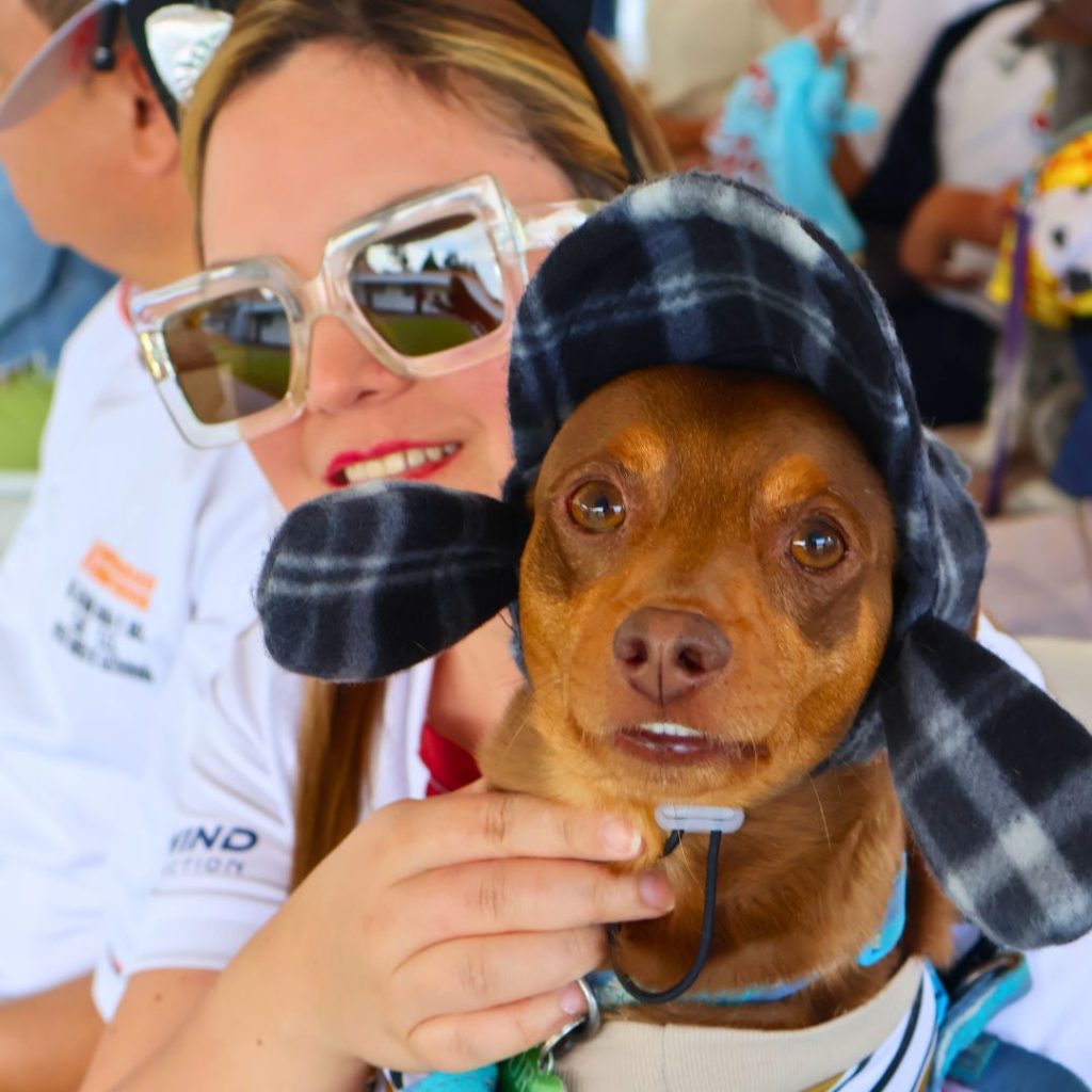 Halloween Pets reunió a estudiantes, docentes y mascotas en la UHE