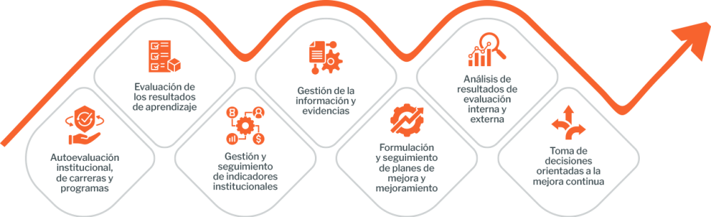 Procesos Gesti&oacute;n de la Calidad